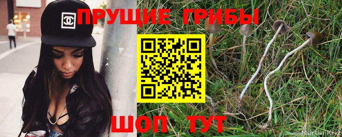 Арзамас  Псилоцибиновые грибы GOLDEN TEACHER  Вход с VPN 
